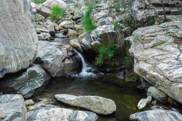 SAM_2688-1