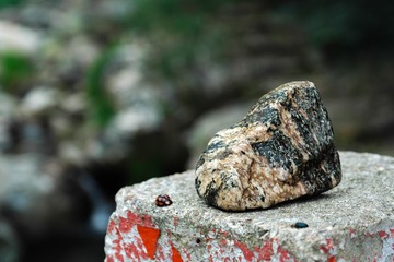 SAM_2692-1