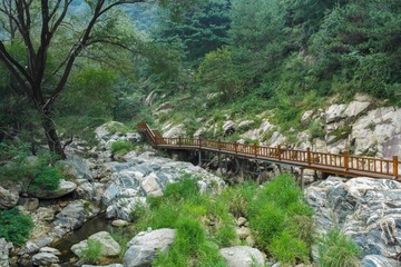 SAM_2716-1
