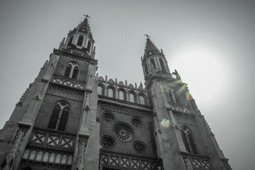 SAM_0088-1