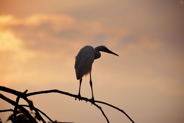 DSC_5181.jpg