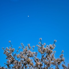 DSC_2947.jpg