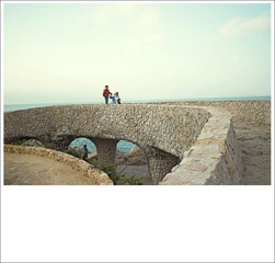 L1008552-5.jpg