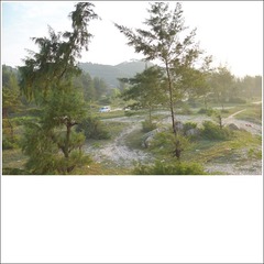 007-L1012989-bk