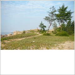 008-L1013009-bk