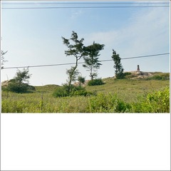 13-L1013127-bk