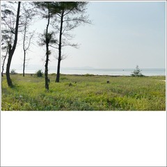 14-L1013123-bk