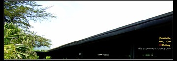 A (2).jpg
