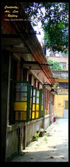 B (11).jpg