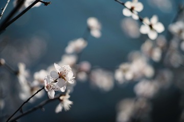 D00F65E5-7863-4DCC-A622-60D74EC3E94E/L0/001
