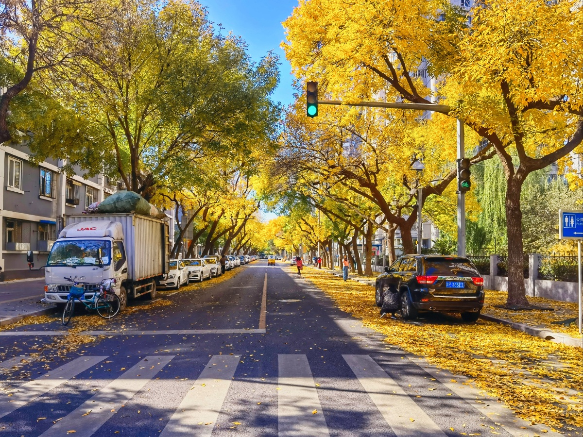 一路绿灯竟有一条街,人车皆不多.树上白蜡黄,地下满处跑.