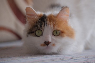 130479