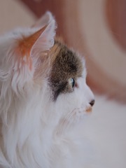 140198