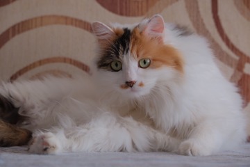 140138