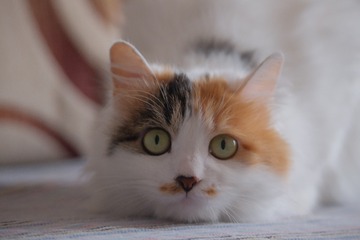 130480