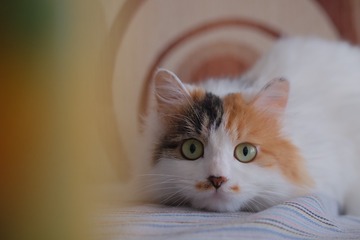 140175