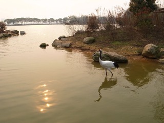 R0017494.JPG