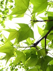 R0018193_01.jpg