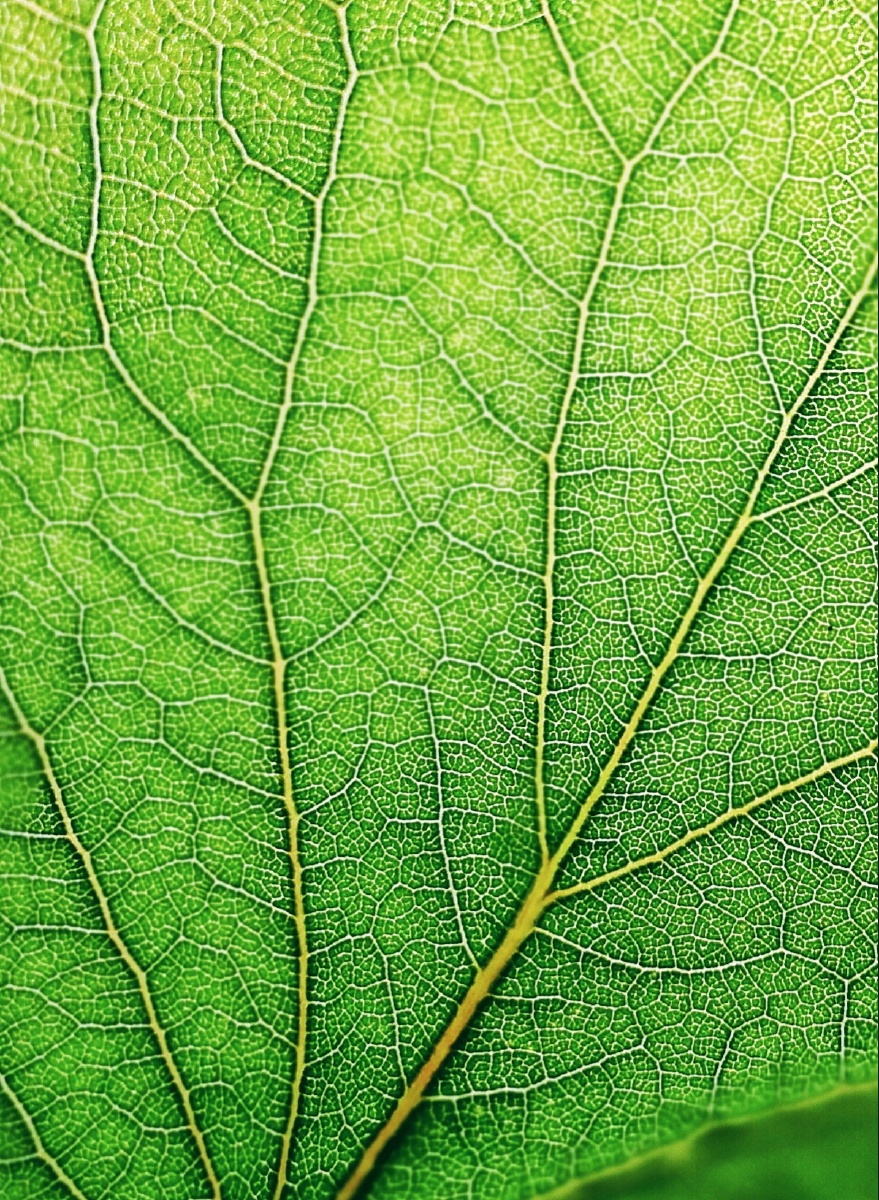 微观- 范瑞民 - 图虫