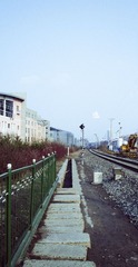 IMGP1477.jpg