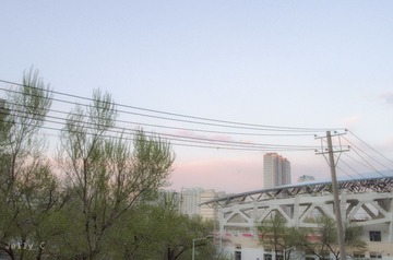 IMGP1673 - 副本 - 副本 (2).jpg