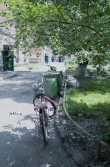 IMGP2112.jpg