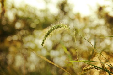 DSC01353_