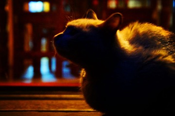DSC05409_