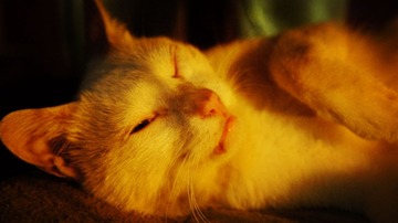 DSC08577_