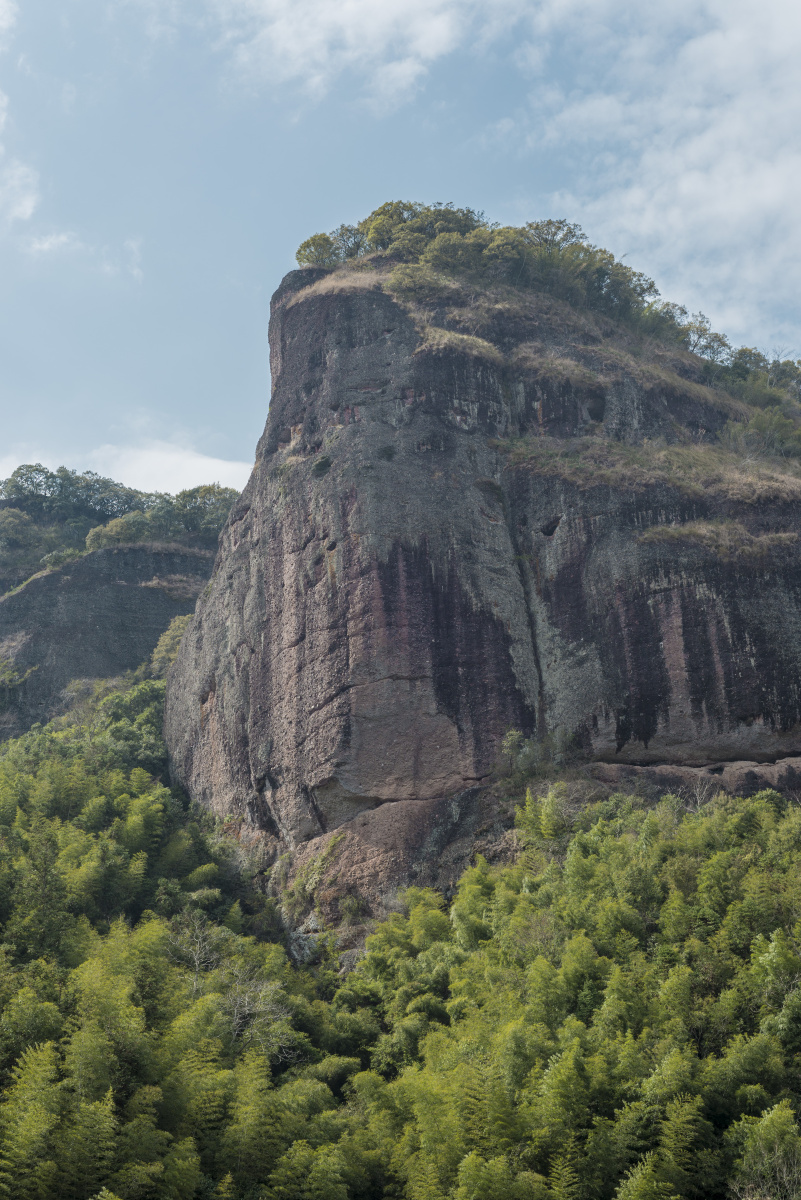 人望山 鱼窥荷 - 栗子sama- - 图虫