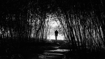 竹林