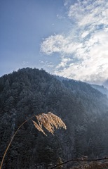 _DSC1002