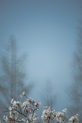 _DSC0060