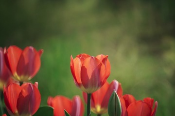 _DSC0049