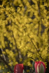 _DSC0171
