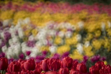 _DSC0075