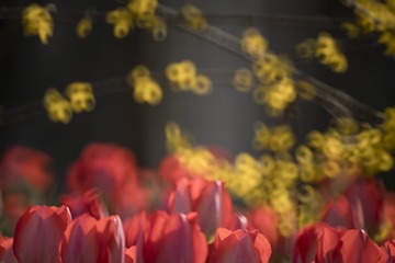 _DSC0176