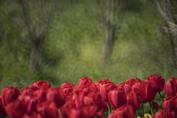 _DSC0072