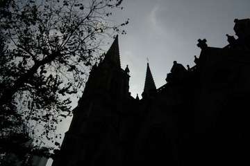 IMGP0380.JPG