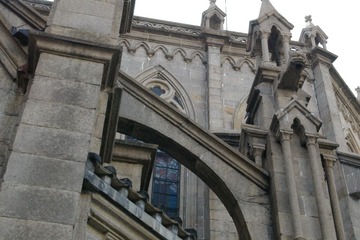 IMGP0303.JPG