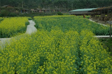 IMGP0917.JPG