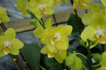 IMGP0823.JPG