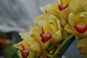 IMGP0844.JPG
