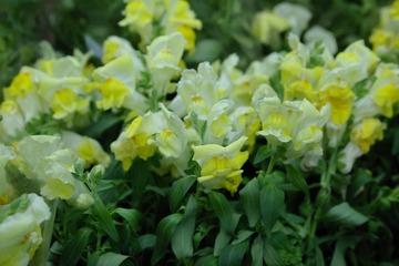 IMGP0791.JPG
