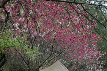 IMGP1404.JPG