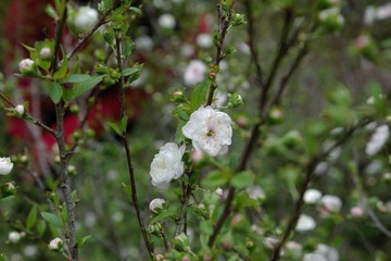 IMGP1434.JPG
