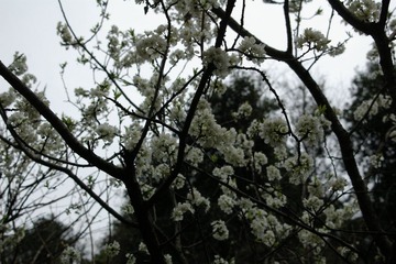 IMGP1455.JPG