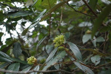 IMGP1473.JPG