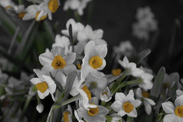 IMGP0810.jpg