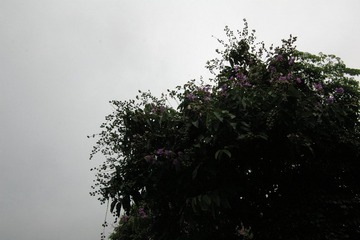 IMGP3076.JPG